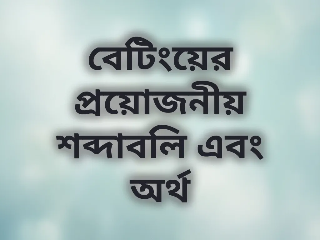 বেটিং টার্মিনোলজি